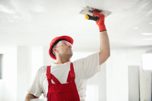 Best Mold Prevention Services  in Luling, TX