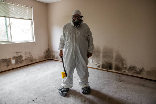 Mold Documentation for Insurance Claims in Luling, TX